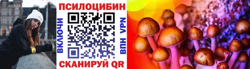 kraken как войти  Новоаннинский  Псилоцибиновые грибы GOLDEN TEACHER 